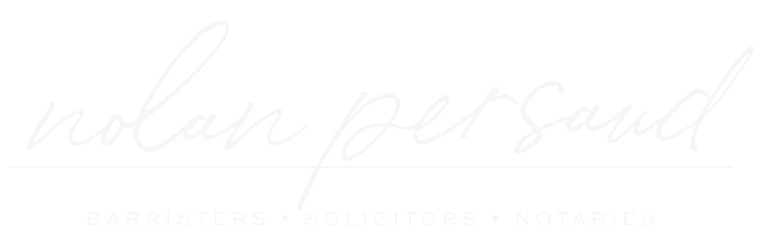 NolanPersaud Logo White